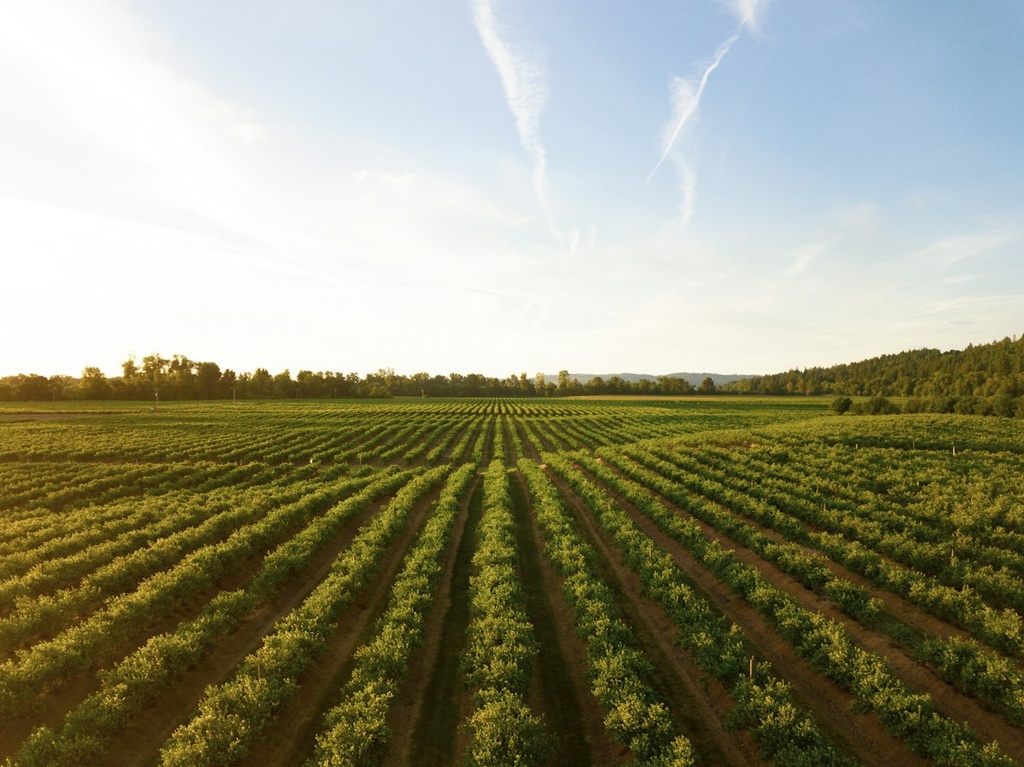 Agricultural Site Assessment Visit – Feasibility Study (Basic, Arabic)