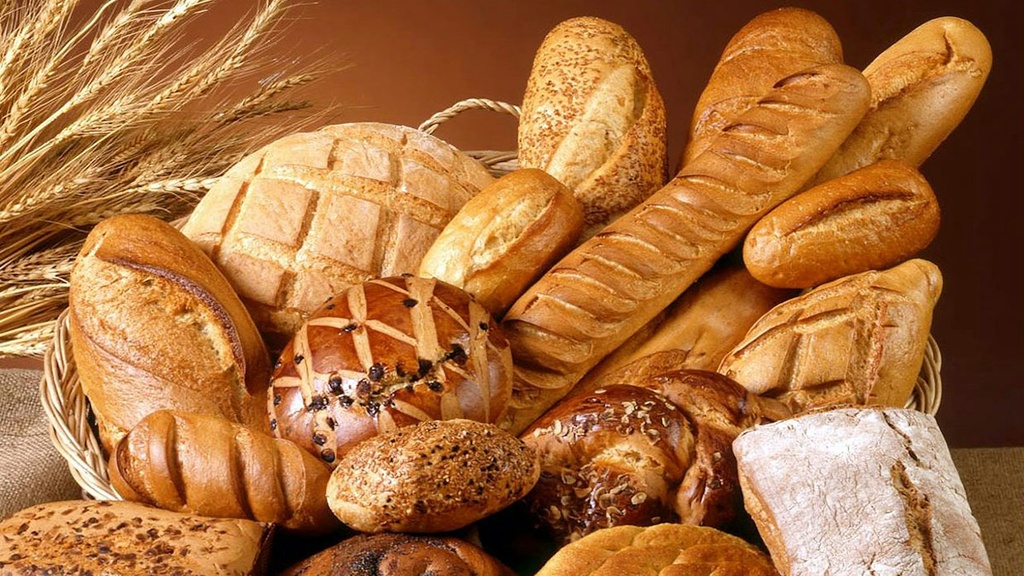 Bakery – Feasibility Study (Basic, Arabic)