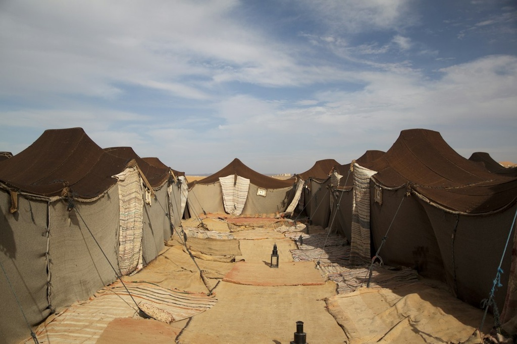 Desert Camp – Feasibility Study (Basic, Arabic)