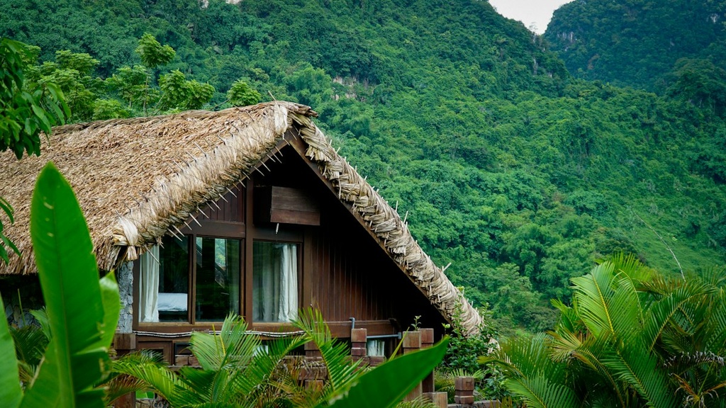Farm Eco-Lodge – Feasibility Study