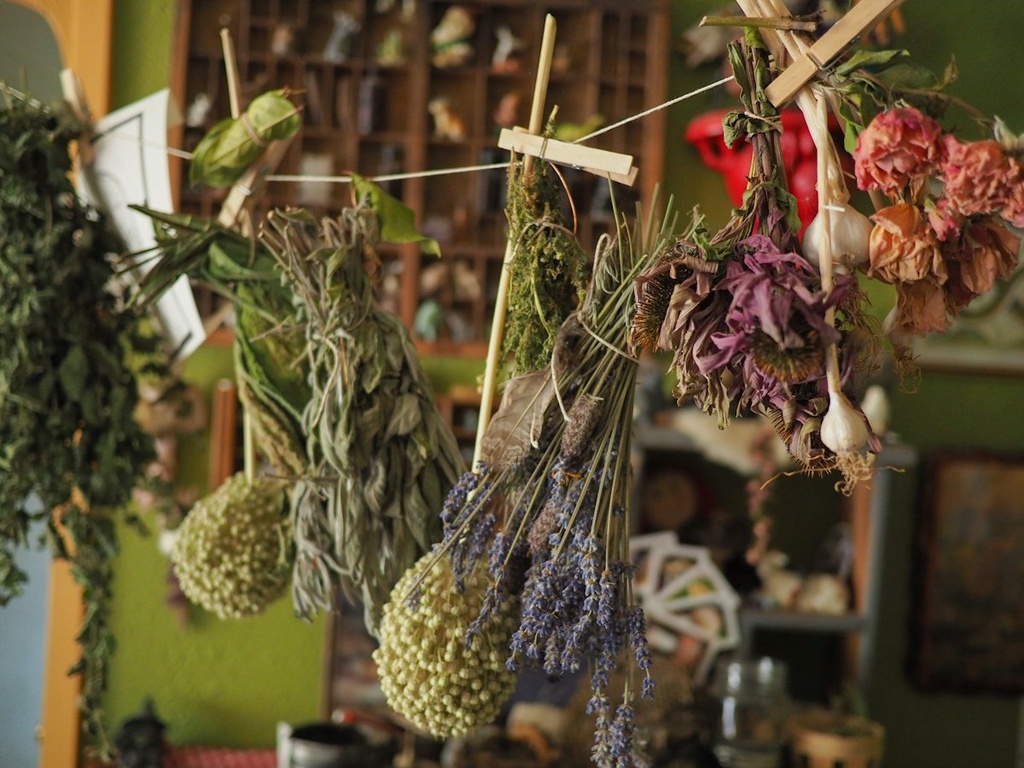 Herb Drying & Packing – Feasibility Study