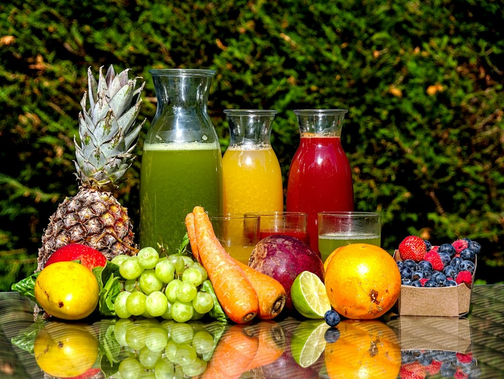 Juice Concentrate Plant – Feasibility Study (Basic, Arabic)