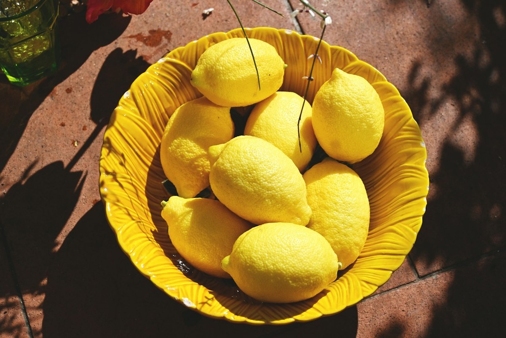 Lemon Orchard – Feasibility Study (Basic, Arabic)
