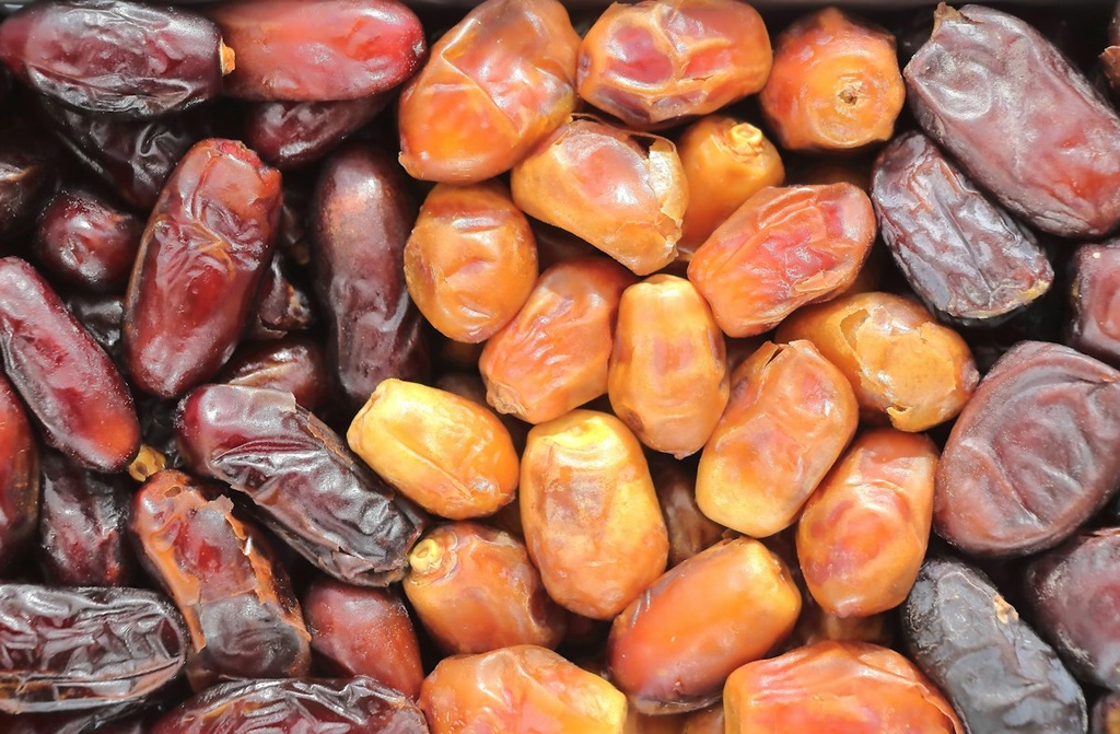 Medjool Date Palm Farm – Feasibility Study (Basic, Arabic)