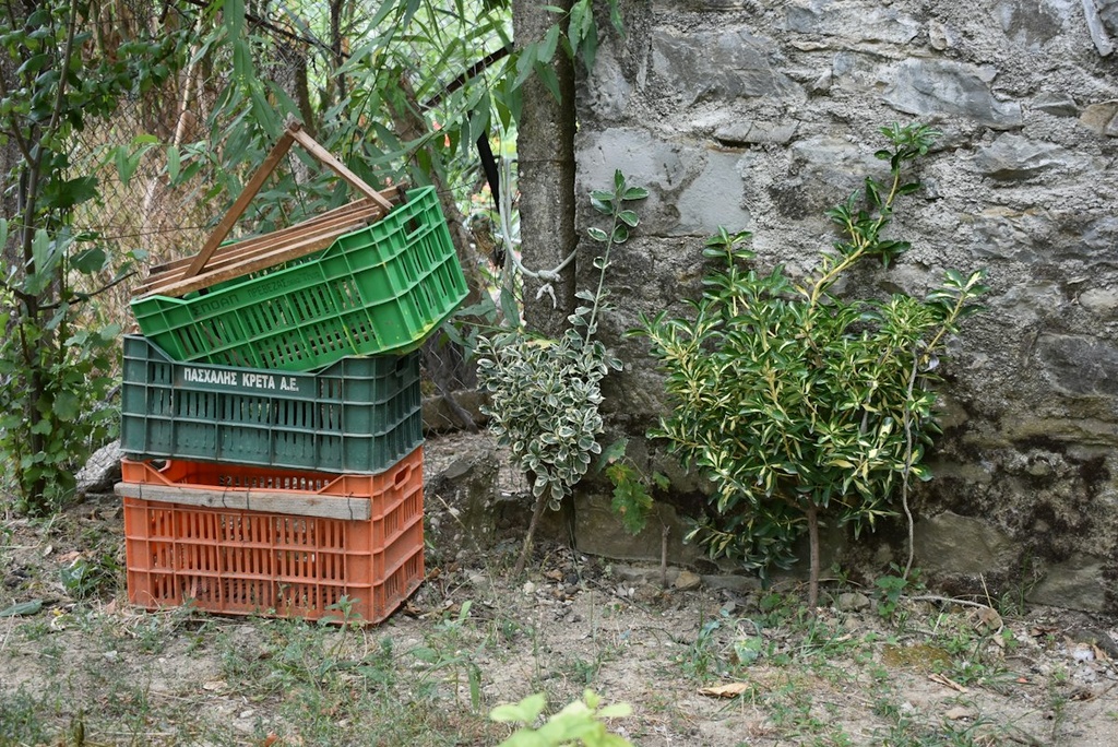 Plastic Harvest Crates Plant – Feasibility Study (Basic, Arabic)