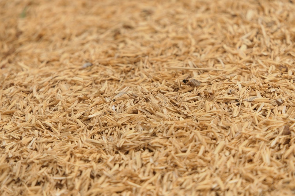 Rice Straw Recycling – Feasibility Study (Basic, Arabic)