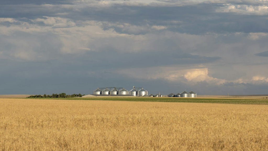 Wheat Farm & Storage – Feasibility Study (Basic, Arabic)