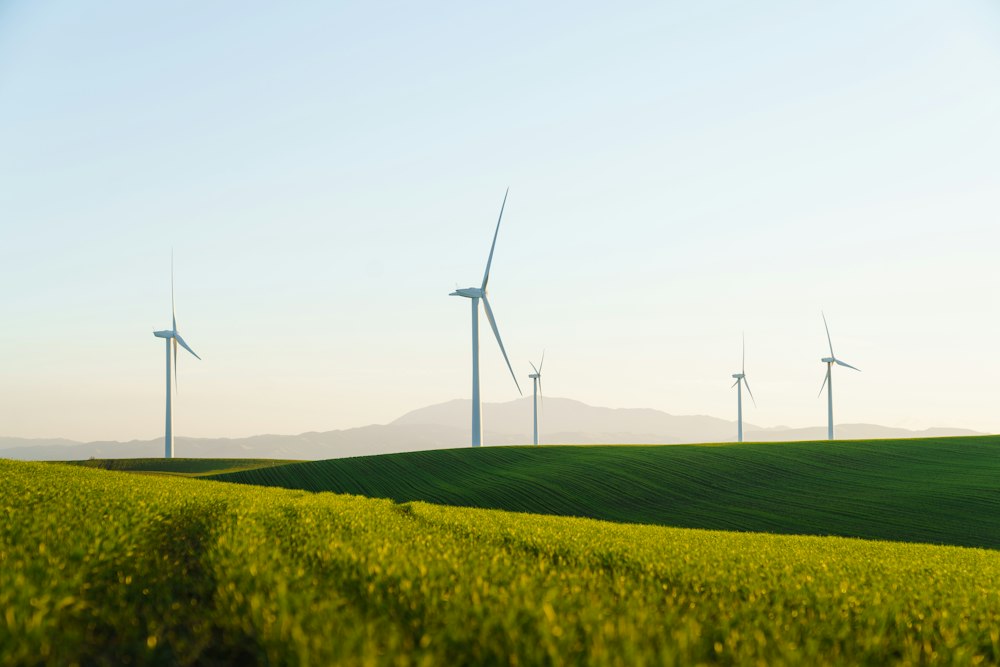 Carbon Market Fundamentals