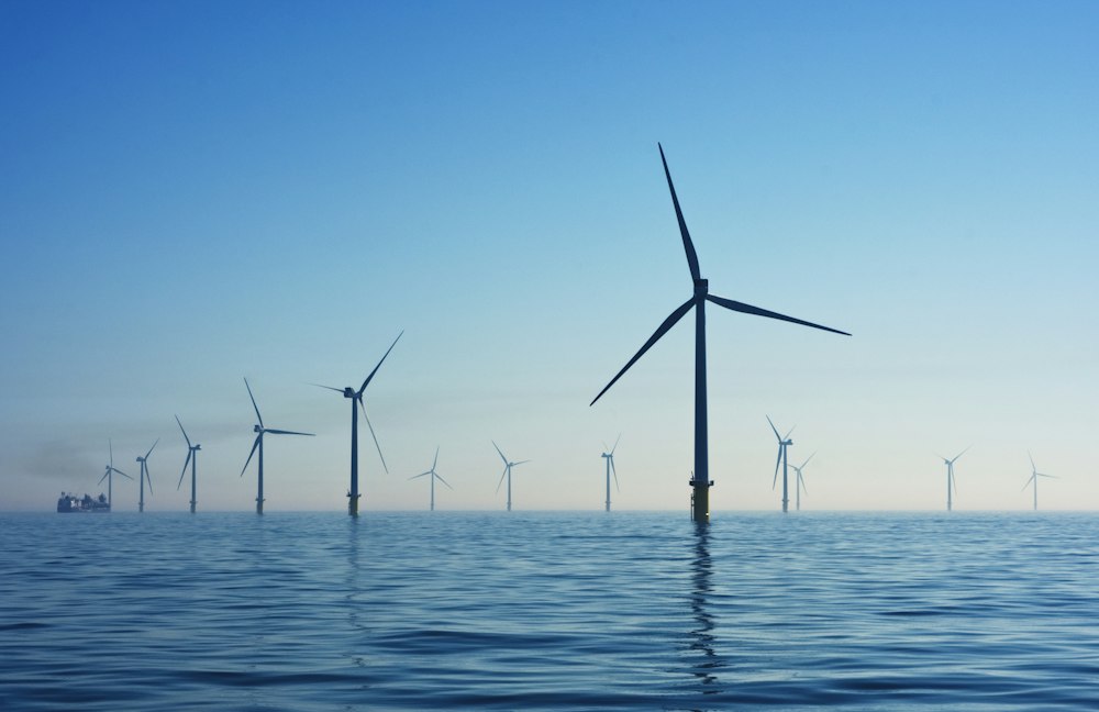 Developing an ESG Governance Structure