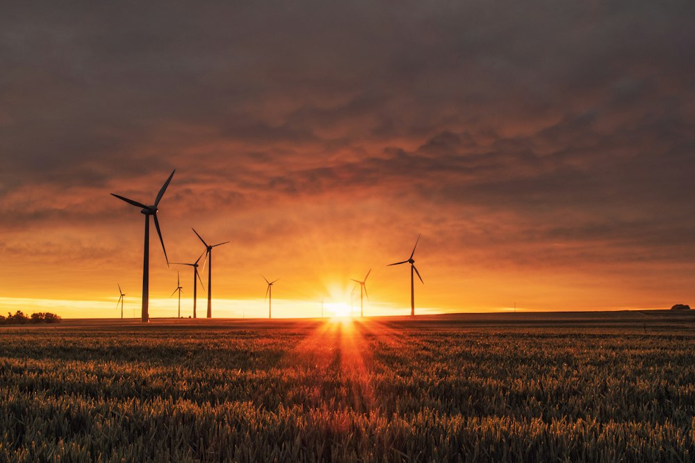 Developing ESG Policies