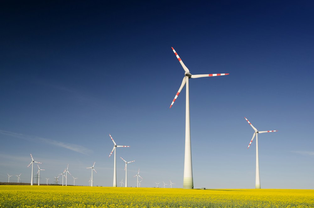 ESG Disclosure